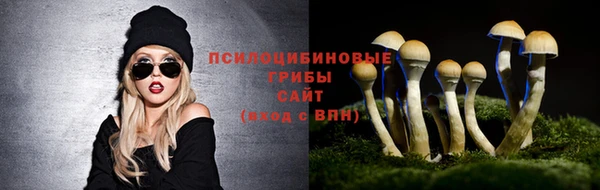 дмт Армянск