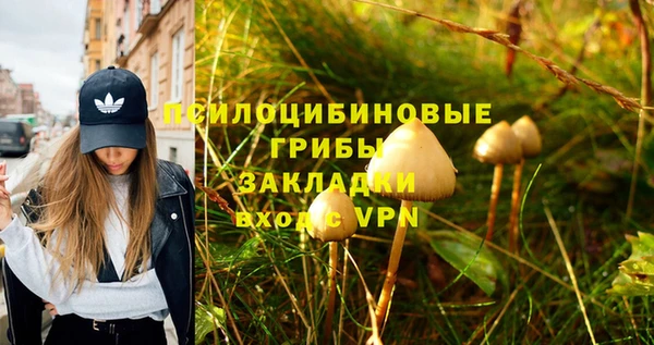 дмт Армянск