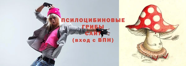 гашик Аркадак