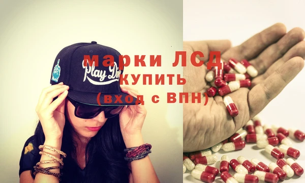 гашик Аркадак