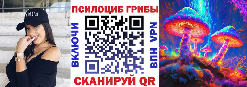 darknet формула  Балтийск  Псилоцибиновые грибы Magic Shrooms  магазин продажи  